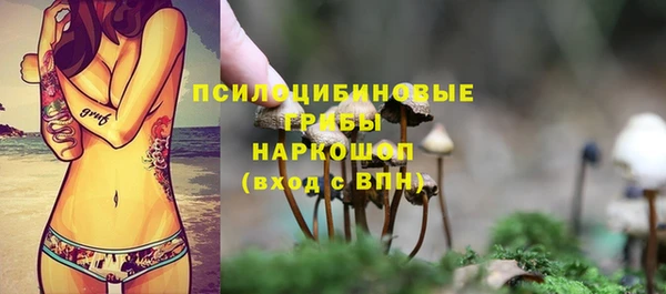 а пвп мука Армянск