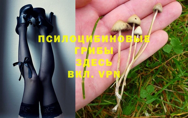 кокс Аркадак