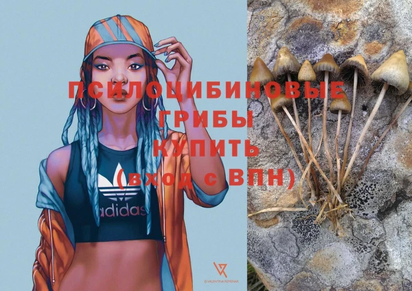 кокс Аркадак