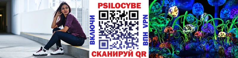 купить наркоту Суоярви Псилоцибиновые грибы Cubensis